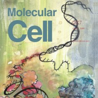 Cover Illustration - Molecular Cell